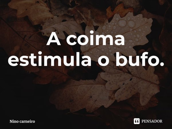 ⁠A coima estimula o bufo.... Frase de Nino carneiro.