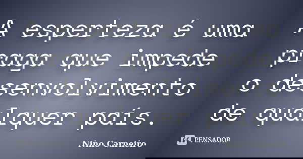 A esperteza é uma praga que impede o desenvolvimento de qualquer país.... Frase de Nino Carneiro.