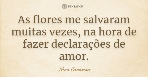 As flores me salvaram muitas vezes, na hora de fazer declarações de amor.... Frase de Nino Carneiro.