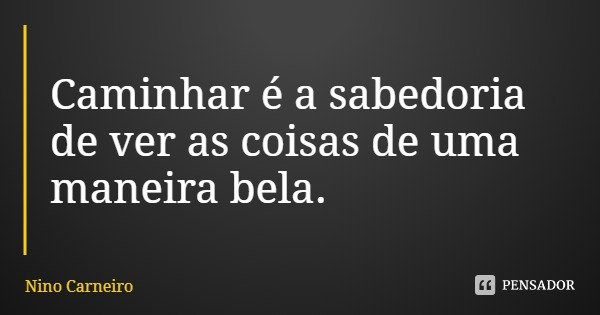 Caminhar é a sabedoria de ver as coisas de uma maneira bela.... Frase de Nino Carneiro.