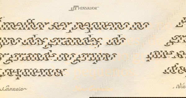 É melhor ser pequeno no grupo dos grandes, do que ser grande no grupo dos pequenos.... Frase de Nino Carneiro.