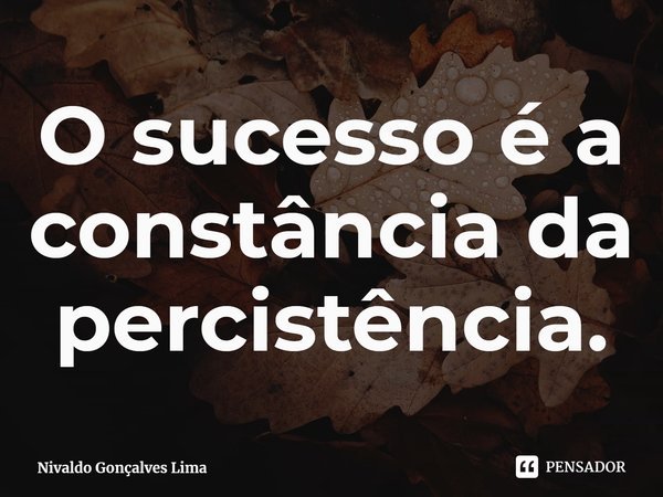 ⁠O sucesso é a constância da persistência.... Frase de Nivaldo Gonçalves Lima.