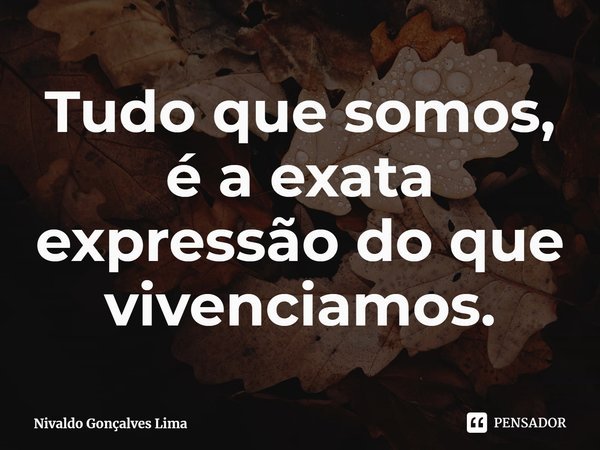 ⁠Tudo que somos, é a exata expressão do que vivenciamos.... Frase de Nivaldo Gonçalves Lima.