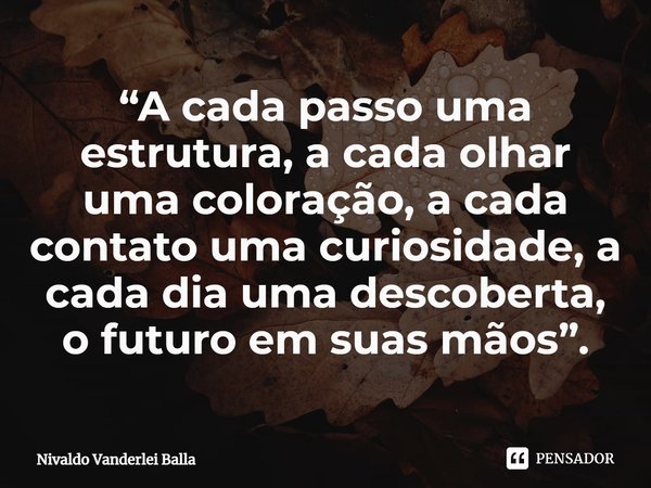 ⁠“A cada passo uma estrutura, a cada olhar uma coloração, a cada contato uma curiosidade, a cada dia uma descoberta, o futuro em suas mãos”.... Frase de Nivaldo Vanderlei Balla.