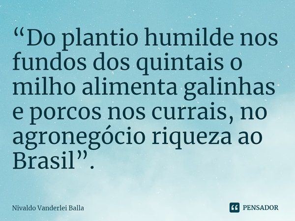 ⁠“Do plantio humilde nos fundos dos quintais o milho alimenta galinhas e porcos nos currais, no agronegócio riqueza ao Brasil”.... Frase de Nivaldo Vanderlei Balla.