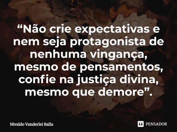 ⁠“Não crie expectativas e nem seja protagonista de nenhuma vingança, mesmo de pensamentos, confie na justiça divina, mesmo que demore”.... Frase de Nivaldo Vanderlei Balla.