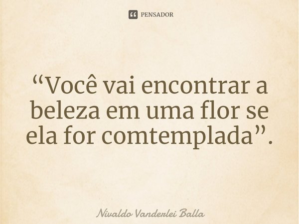 ⁠“Você vai encontrar a beleza em uma flor se ela for comtemplada”.... Frase de Nivaldo Vanderlei Balla.