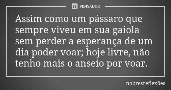 Assim como um pássaro que sempre viveu em sua gaiola sem perder a esperança de um dia poder voar; hoje livre, não tenho mais o anseio por voar.... Frase de nobresreflexoes.