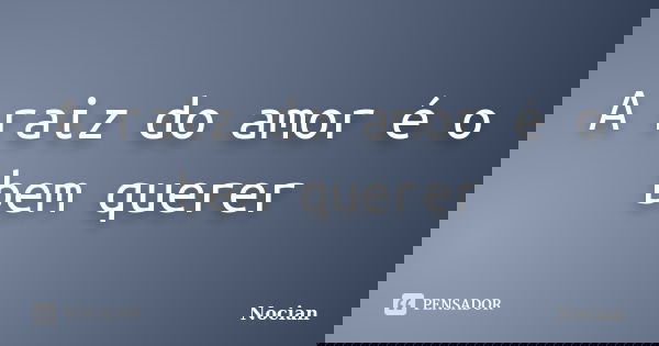 A raiz do amor é o bem querer... Frase de Nocian.