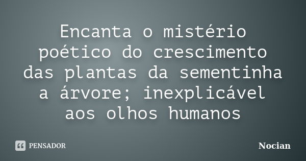 Encanta o mistério poético do crescimento das plantas da sementinha a árvore; inexplicável aos olhos humanos... Frase de Nocian.