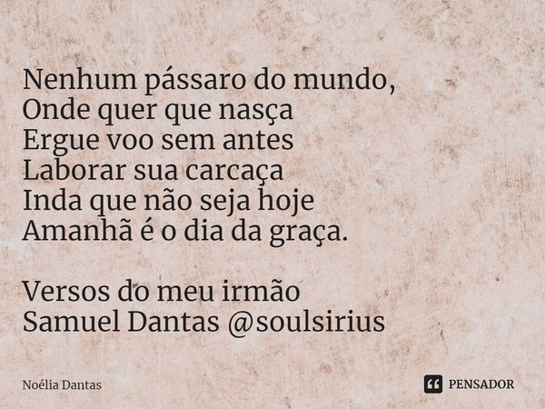 ⁠Nenhum pássaro do mundo, Onde quer que nasça Ergue voo sem antes Laborar sua carcaça Inda que não seja hoje Amanhã é o dia da graça. Versos do meu irmão Samuel... Frase de Noélia Dantas.