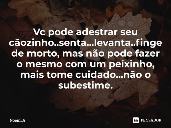 ⁠Vc pode adestrar seu cãozinho..senta...levanta..finge de morto, mas não pode fazer o mesmo com um peixinho, mais tome cuidado...não o subestime.... Frase de Noemi.A.