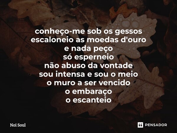 ⁠conheço-me sob os gessos escaloneio as moedas d'ouro e nada peço só esperneio não abuso da vontade sou intensa e sou o meio o muro a ser vencido o embaraço o e... Frase de Noi Soul.