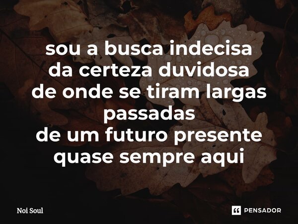 ⁠sou a busca indecisa da certeza duvidosa de onde se tiram largas passadas de um futuro presente quase sempre aqui... Frase de Noi Soul.