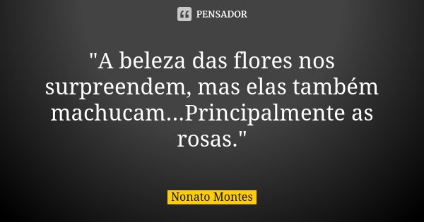 "A beleza das flores nos surpreendem, mas elas também machucam...Principalmente as rosas."... Frase de Nonato Montes.