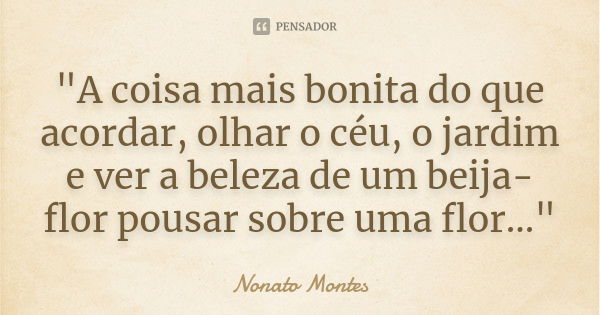 "A coisa mais bonita do que acordar, olhar o céu, o jardim e ver a beleza de um beija-flor pousar sobre uma flor..."... Frase de Nonato Montes.