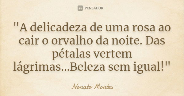 "A delicadeza de uma rosa ao cair o orvalho da noite. Das pétalas vertem lágrimas...Beleza sem igual!"... Frase de Nonato Montes.