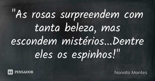 "As rosas surpreendem com tanta beleza, mas escondem mistérios...Dentre eles os espinhos!"... Frase de Nonato Montes.