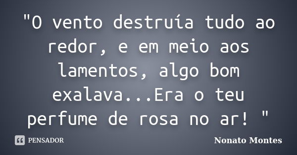 "O vento destruía tudo ao redor, e em meio aos lamentos, algo bom exalava...Era o teu perfume de rosa no ar! "... Frase de Nonato Montes.