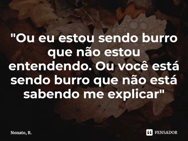 ⁠"Ou eu estou sendo burro que não estou entendendo. Ou você está sendo burro que não está sabendo me explicar"... Frase de Nonato, R..