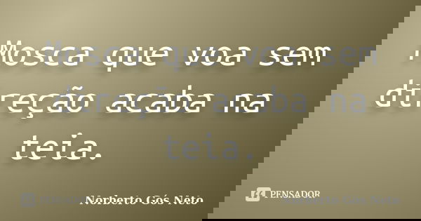 Mosca que voa sem direção acaba na teia.... Frase de Norberto Gós Neto.