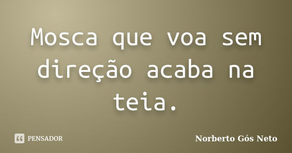 Mosca que voa sem direção acaba na teia.... Frase de Norberto Gós Neto.