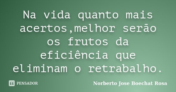 Na vida quanto mais acertos,melhor serão os frutos da eficiência que eliminam o retrabalho.... Frase de Norberto Jose Boechat Rosa.