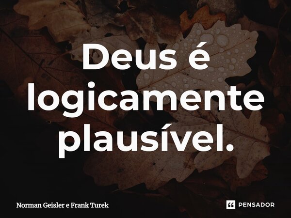 ⁠Deus é logicamente plausível.... Frase de Norman Geisler e Frank Turek.