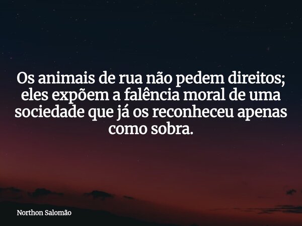 Os animais de rua não pedem direitos; eles expõem a falência moral de uma sociedade que já os reconheceu apenas como sobra.... Frase de Northon Salomão.