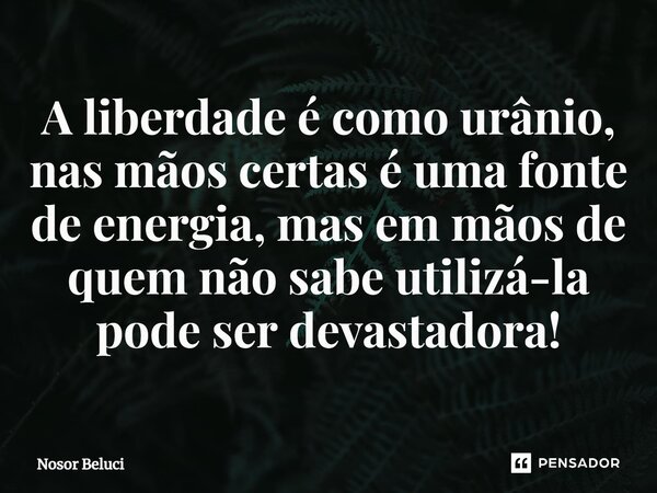 A liberdade é como urânio, nas mãos certas é uma fonte de energia, mas em mãos de quem não sabe utilizá-la pode ser devastadora!... Frase de Nosor Beluci.