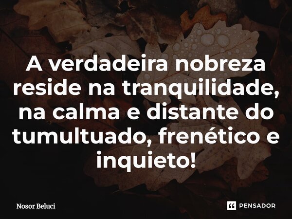 A verdadeira nobreza reside na tranquilidade, na calma e distante do tumultuado, frenético e inquieto!... Frase de Nosor Beluci.
