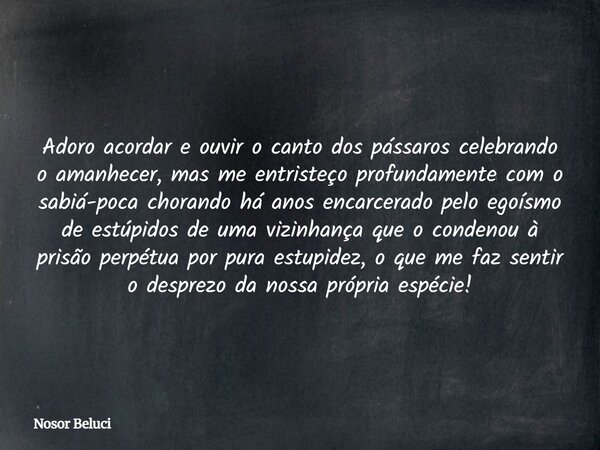 Adoro acordar e ouvir o canto dos pássaros celebrando o amanhecer, mas me entristeço profundamente com o sabiá-poca chorando há anos encarcerado pelo egoísmo de... Frase de Nosor Beluci.
