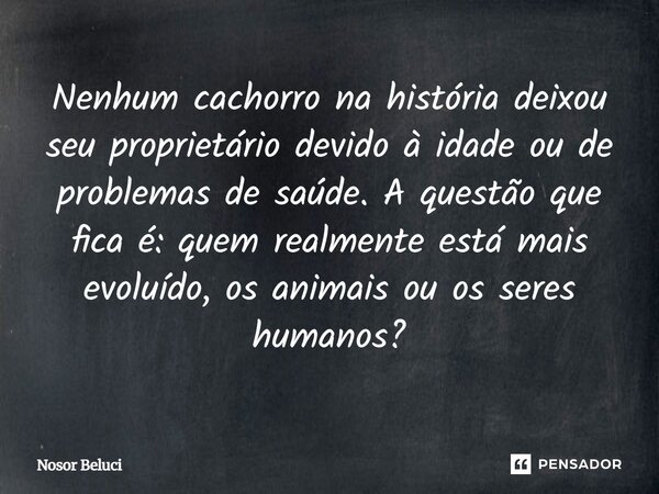 ⁠Nenhum cachorro na história deixou seu proprietário devido à idade ou de problemas de saúde. A questão que fica é: quem realmente está mais evoluído, os animai... Frase de Nosor Beluci.
