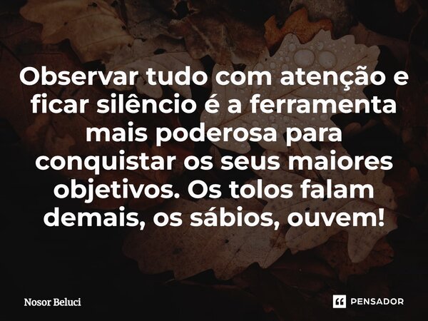 ⁠Observar tudo com atenção e ficar silêncio é a ferramenta mais poderosa para conquistar os seus maiores objetivos. Os tolos falam demais, os sábios, ouvem!... Frase de Nosor Beluci.