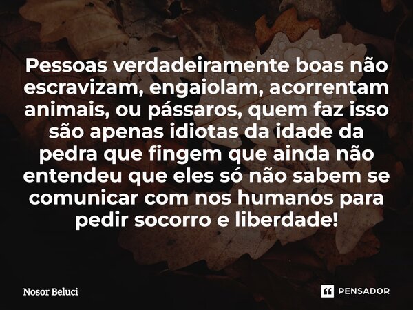 ⁠Pessoas verdadeiramente boas não escravizam, engaiolam, acorrentam animais, ou pássaros, quem faz isso são apenas idiotas da idade da pedra que fingem que aind... Frase de Nosor Beluci.