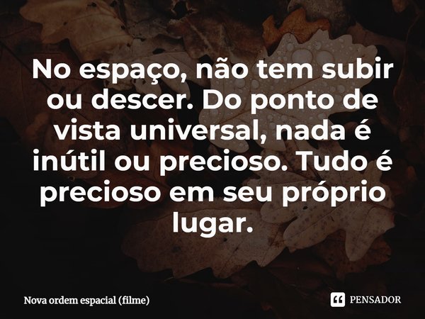 ⁠No espaço, não tem subir ou descer. Do ponto de vista universal, nada é inútil ou precioso. Tudo é precioso em seu próprio lugar.... Frase de Nova ordem espacial (filme).