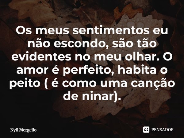 ⁠Os meus sentimentos eu não escondo, são tão evidentes no meu olhar. O amor é perfeito, habita o peito ( é como uma canção de ninar).... Frase de Nyll Mergello.