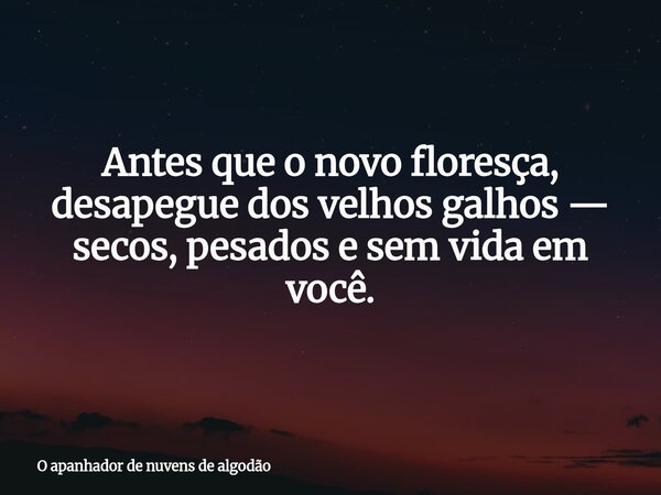 Antes que o novo floresça, desapegue dos velhos galhos — secos, pesados e sem vida em você.... Frase de O apanhador de nuvens de algodão.