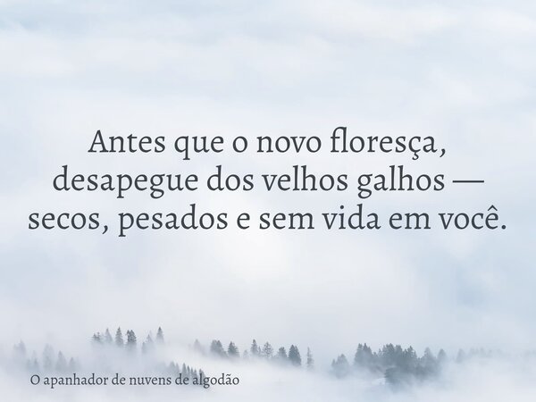 Antes que o novo floresça, desapegue dos velhos galhos — secos, pesados e sem vida em você.... Frase de O apanhador de nuvens de algodão.