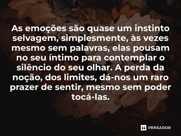 As emoções são quase um instinto selvagem, simplesmente, às vezes mesmo sem palavras, elas pousam no seu íntimo para contemplar o silêncio do seu olhar. A perd... Frase de O apanhador de nuvens de algodão.