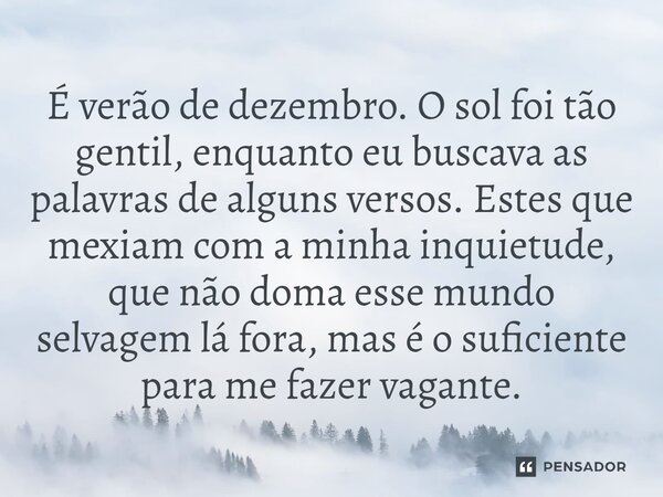 ⁠É verão de dezembro. O sol foi tão gentil, enquanto eu buscava as palavras de alguns versos. Estes que mexiam com a minha inquietude, que não doma esse mundo s... Frase de O apanhador de nuvens de algodão.