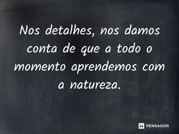 ⁠Nos detalhes, nos damos conta de que a todo o momento aprendemos com a natureza.... Frase de O apanhador de nuvens de algodão.
