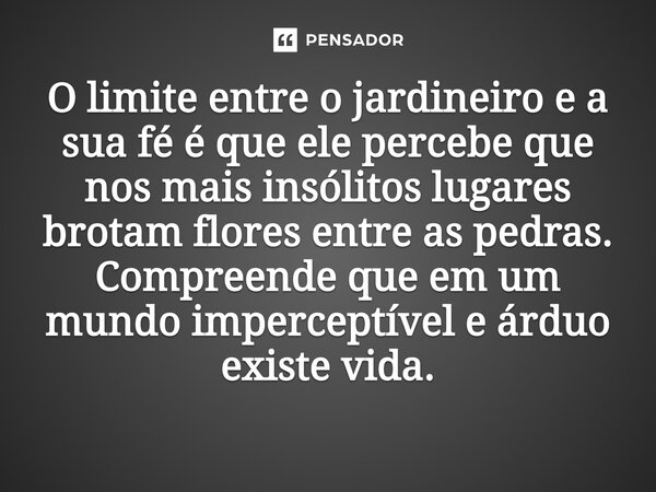⁠O limite entre o jardineiro e a sua fé é que ele percebe que nos mais insólitos lugares brotam flores entre as pedras. Compreende que em um mundo imperceptível... Frase de O apanhador de nuvens de algodão.
