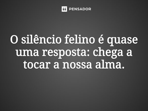 ⁠O silêncio felino é quase uma resposta: chega a tocar a nossa alma.... Frase de O apanhador de nuvens de algodão.