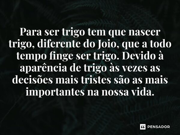 Para ser trigo tem que nascer trigo, diferente do Joio, que a todo tempo finge ser trigo. Devido à aparência de trigo às vezes as decisões mais tristes são as ... Frase de O apanhador de nuvens de algodão.