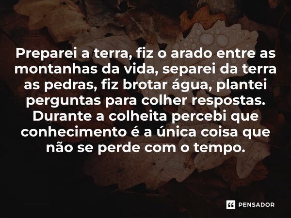 Preparei a terra, fiz o arado entre as montanhas da vida, separei da terra as pedras, fiz brotar água, plantei perguntas para colher respostas. Durante a colhe... Frase de O apanhador de nuvens de algodão.