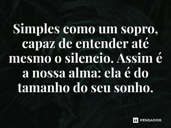 ⁠Simples como um sopro, capaz de entender até mesmo o silencio. Assim é a nossa alma: ela é do tamanho do seu sonho.... Frase de O apanhador de nuvens de algodão.