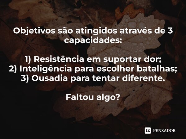 ⁠Objetivos são atingidos através de 3 capacidades: 1) Resistência em suportar dor; 2) Inteligência para escolher batalhas; 3) Ousadia para tentar diferente. Fal