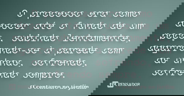 O processo era como descer até o fundo de um poço, subindo lentamente, agarrando-se à parede com as unhas, sofrendo, sofrendo sempre.... Frase de O centauro no jardim.