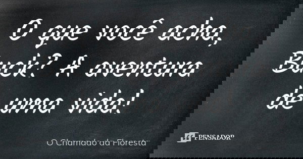 O que você acha, Buck? A aventura de uma vida!... Frase de O Chamado da Floresta.